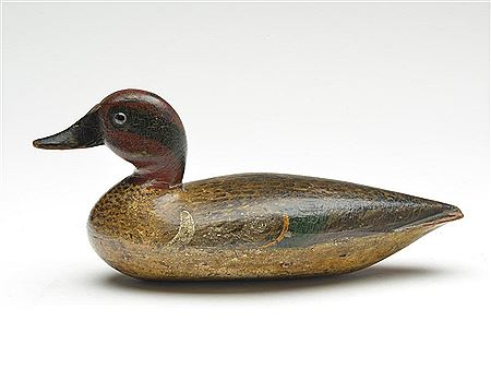 Very rare greenwing teal drake