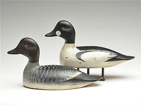 Rigmate pair of goldeneye