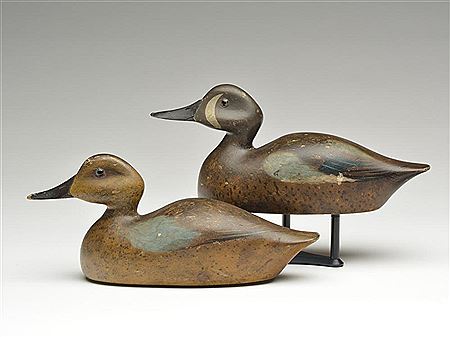Rare pair of bluewing teal
