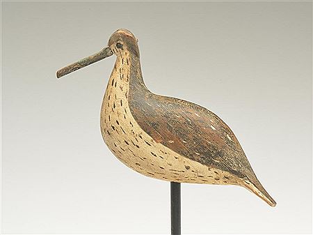 Greater yellowlegs