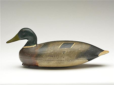 Excellent hollow mallard drake