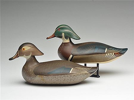 Pair of wood ducks
