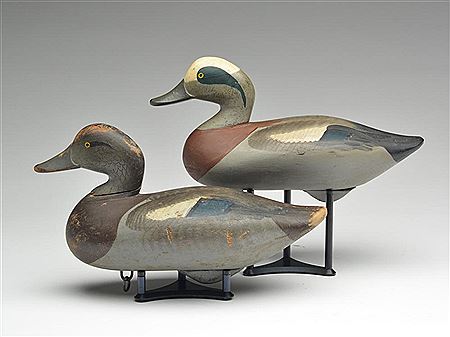 Pair of widgeon