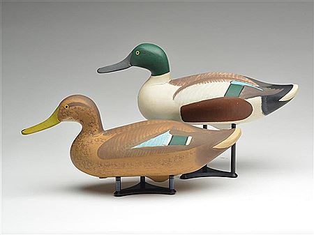 Rare pair of shovelers