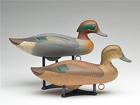 Pair of greenwing teal