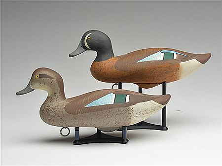 Pair of bluewing teal