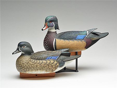 Pair of wood ducks