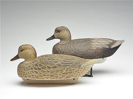 Very rare pair of gadwall