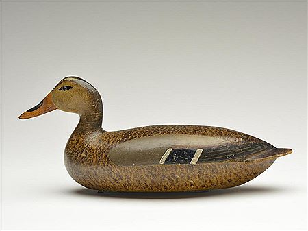 Early style mallard hen