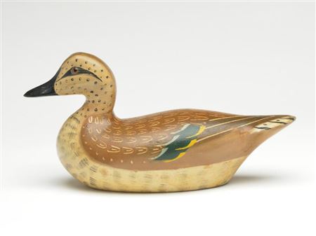 Greenwing teal hen