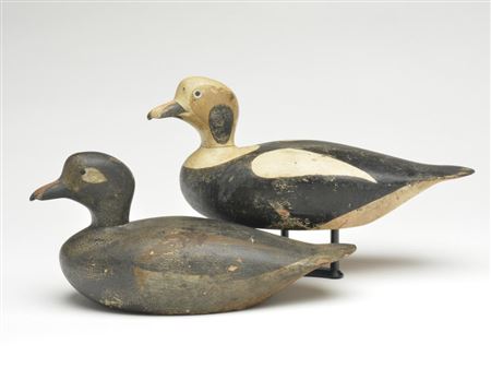 Rigmate pair of old squaw