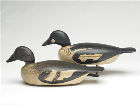 Rare rigmate pair of goldeneye