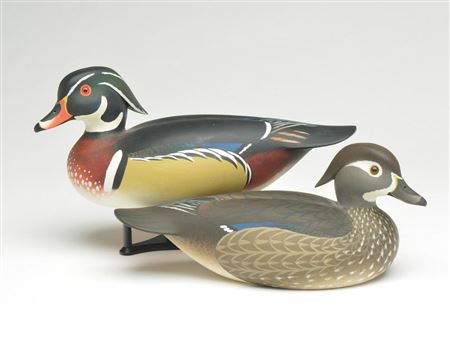 Pair of wood ducks