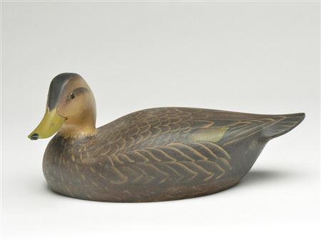 Shooting stool model black duck