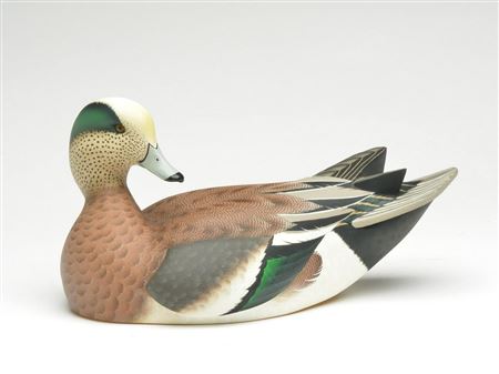 Preening widgeon drake