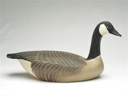 Impressive Canada goose