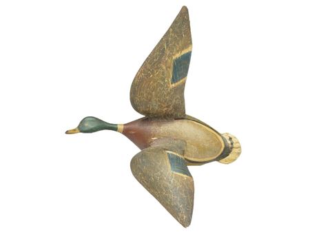 1/2 size flying mallard drake
