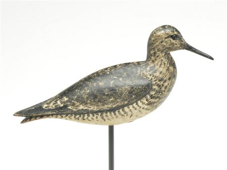 Greater yellowlegs in content pose