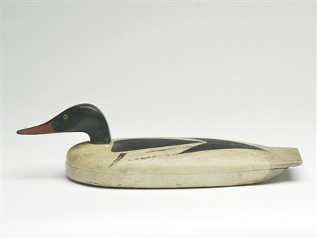 Rare and important American merganser drake