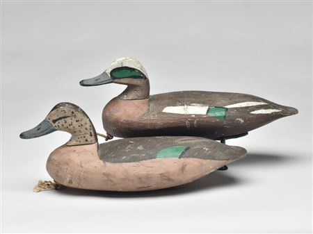 Rare pair of widgeon