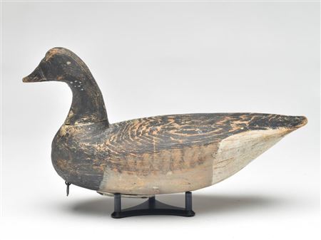 Brant