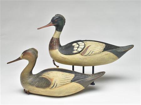 Pair of mergansers
