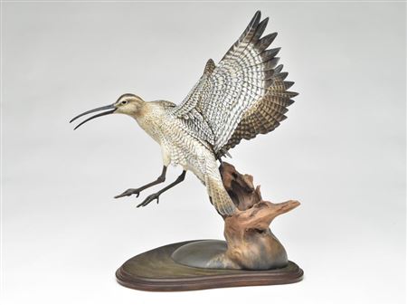 Outstanding decorative whimbrel