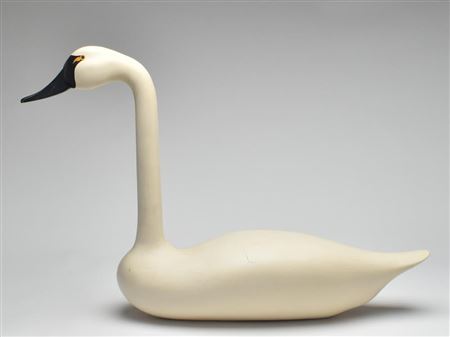 Rare straight neck swan