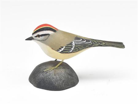 Golden crowned kinglet