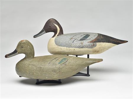 Pair of pintails