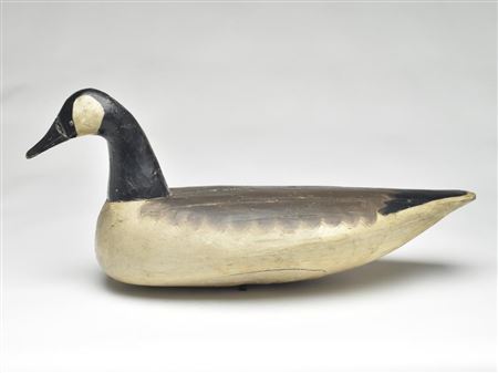 Impressive unrigged Canada goose