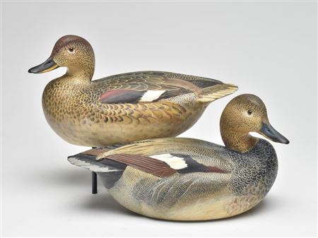 Pair of gadwall