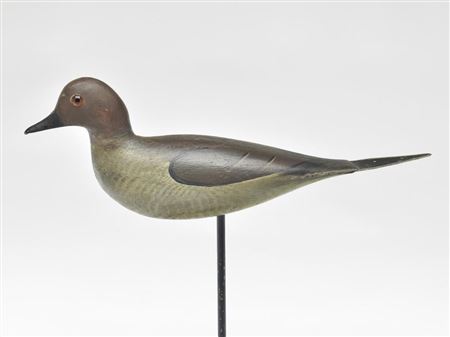 Dove