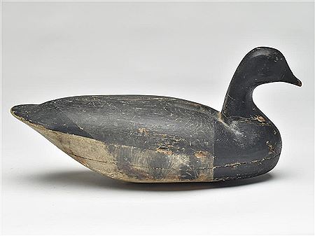 Brant