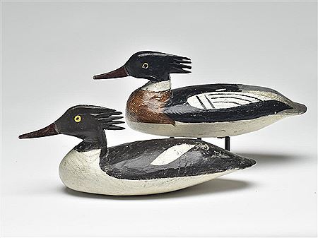 Excellent rigmate pair of red breasted mergansers