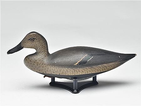 Exceptional Blair School greenwing teal hen