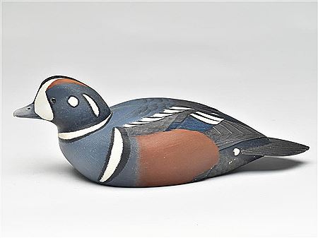 Hollow harlequin drake