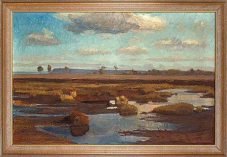 Summer moorland landscape