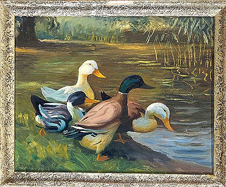 Ducks on the lake shore