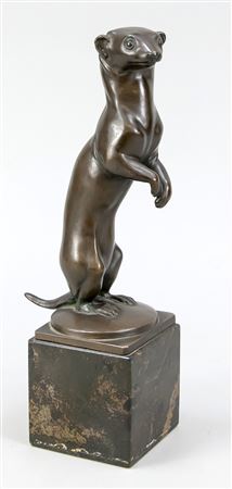 Standing weasel