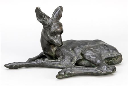 Lying fawn