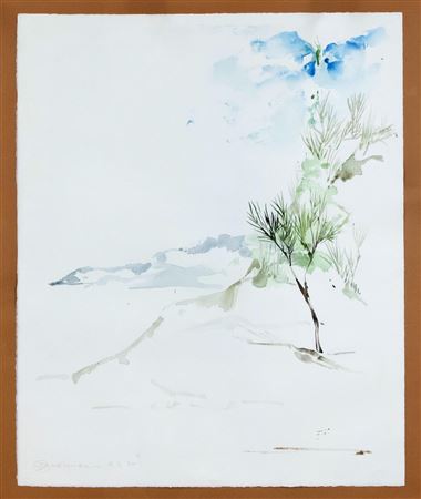 Southern coastal scene