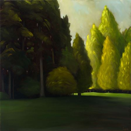 Evergreen and Grass