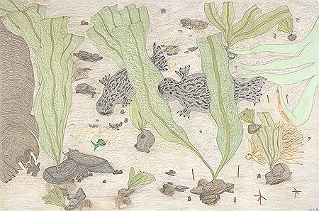 Untitled (Aquatic Scene)
