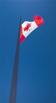 Painted Flag