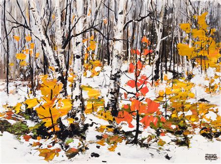 Birch, 2nd Snow