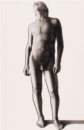 Young Male, Study