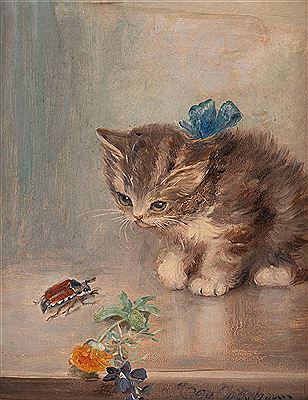 Chaton avec bogue de mai