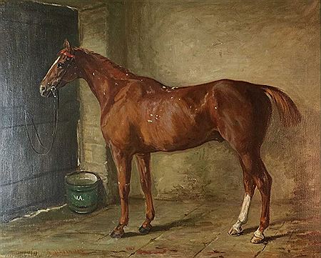 Chestnut in a stable