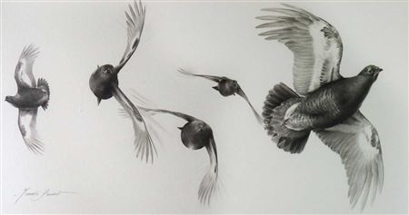 Grouse in Flight by Terence Lambert - Auction record, sale price, and art valuation. Compare with similar artists and explore comparable artworks.